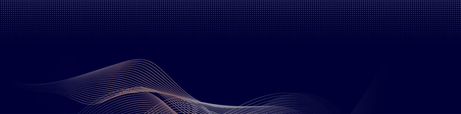 高级搜索 比佳亚